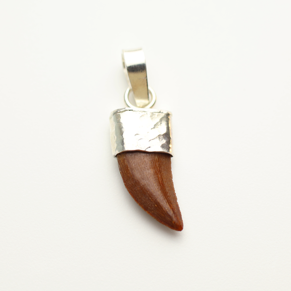 Raptor Tooth Pendant