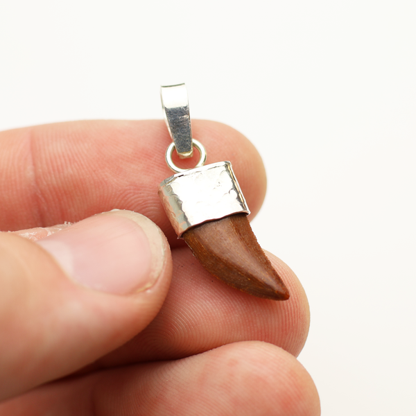 Raptor Tooth Pendant