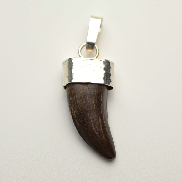 Tyrannosaurus Tooth Pendant