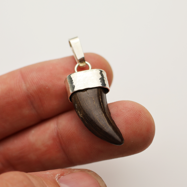 Tyrannosaurus Tooth Pendant