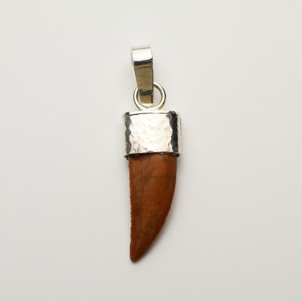 Raptor Tooth Pendant