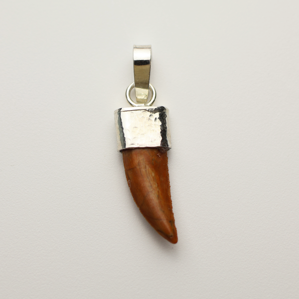 Raptor Tooth Pendant