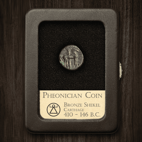 Carthaginian Coin | Bronze Shekel