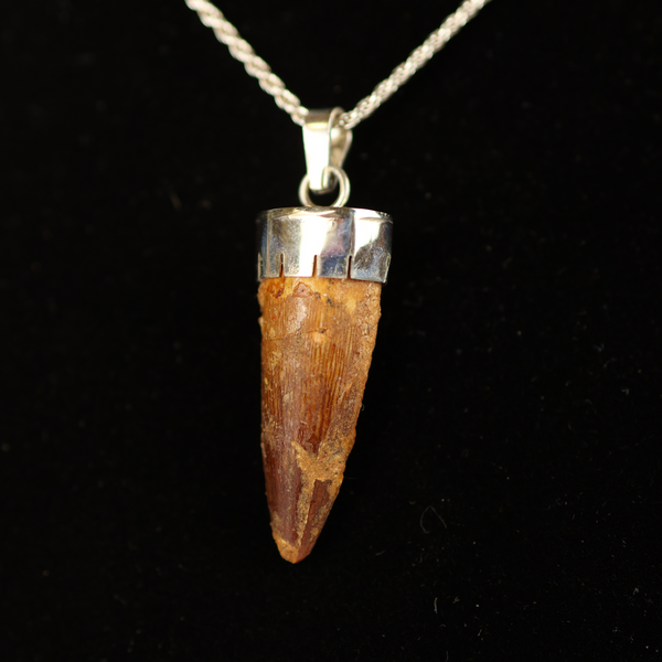 Spinosaurus Tooth Pendant