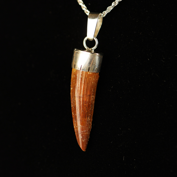 Spinosaurus Tooth Pendant