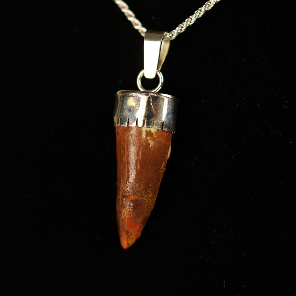 Spinosaurus Tooth Pendant