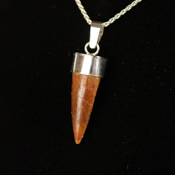 Spinosaurus Tooth Pendant