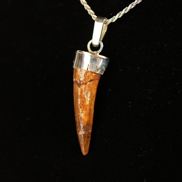 Spinosaurus Tooth Pendant