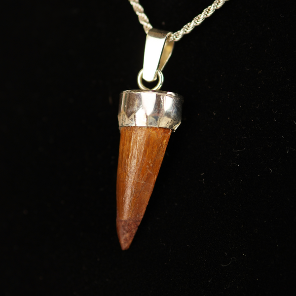 Spinosaurus Tooth Pendant