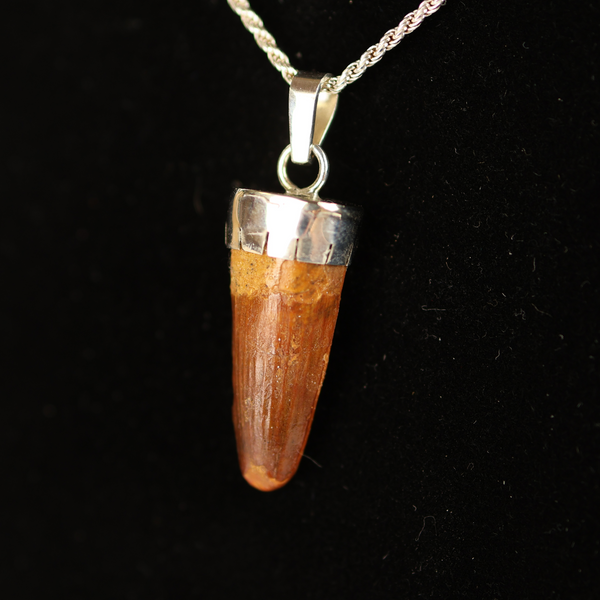 Spinosaurus Tooth Pendant