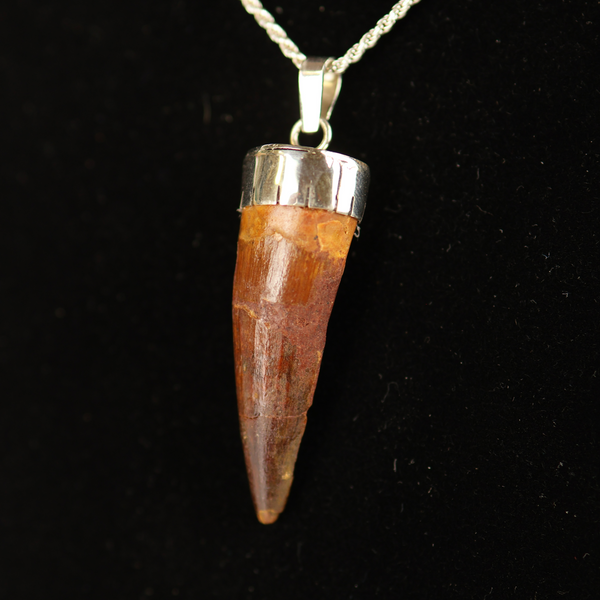 Spinosaurus Tooth Pendant