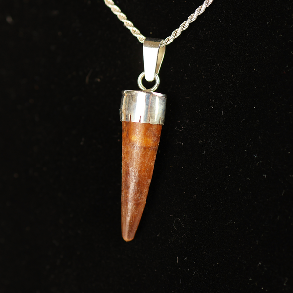 Spinosaurus Tooth Pendant