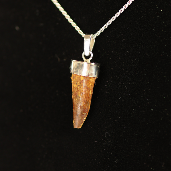 Spinosaurus Tooth Pendant