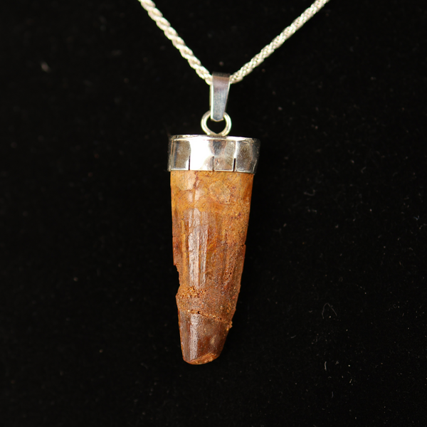 Spinosaurus Tooth Pendant