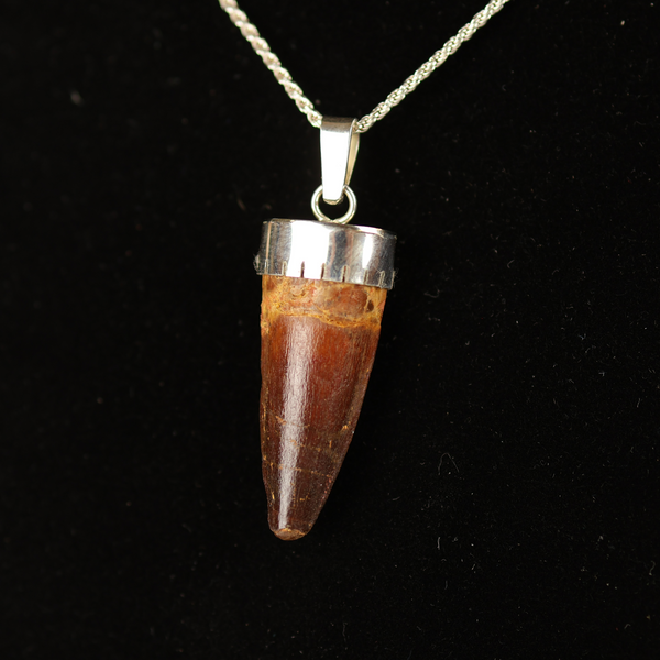 Spinosaurus Tooth Pendant