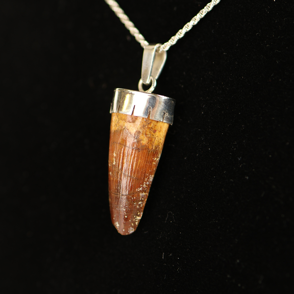 Spinosaurus Tooth Pendant