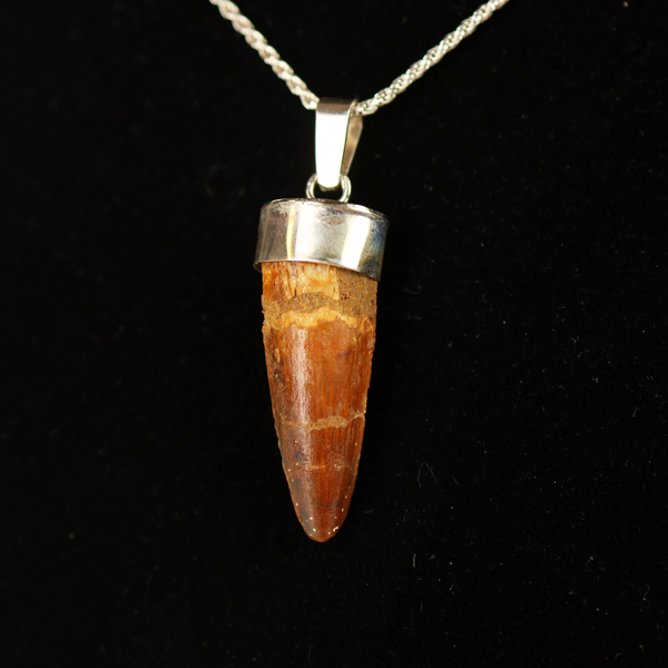 Spinosaurus Tooth Pendant