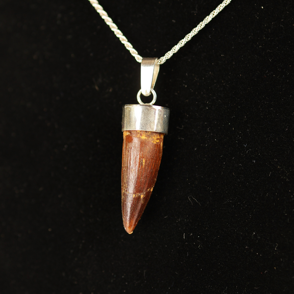 Spinosaurus Tooth Pendant