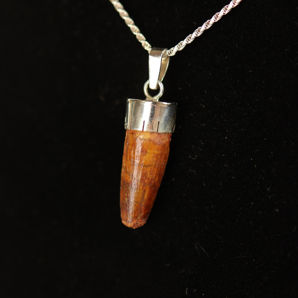 Spinosaurus Tooth Pendant