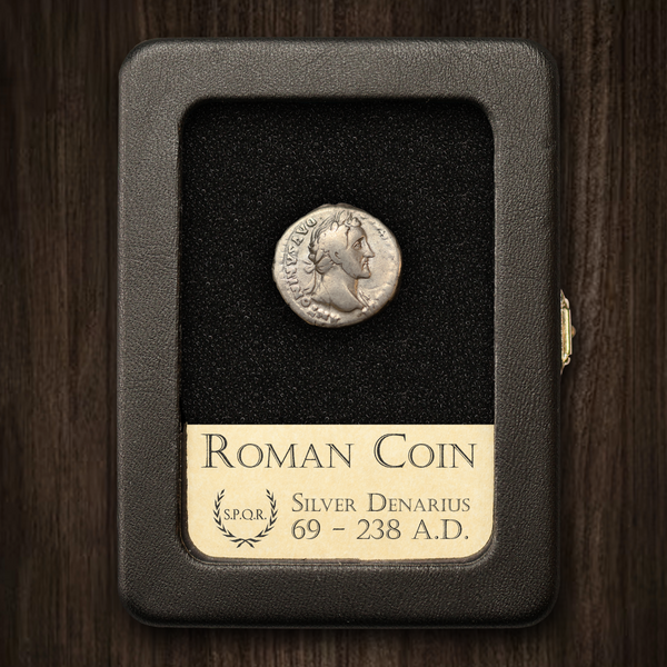 denarius_main_grande.png?v=